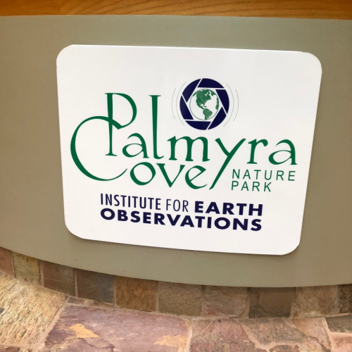 Palmyra-Cove-Nature-Park-in-Palmyra-NJ-4